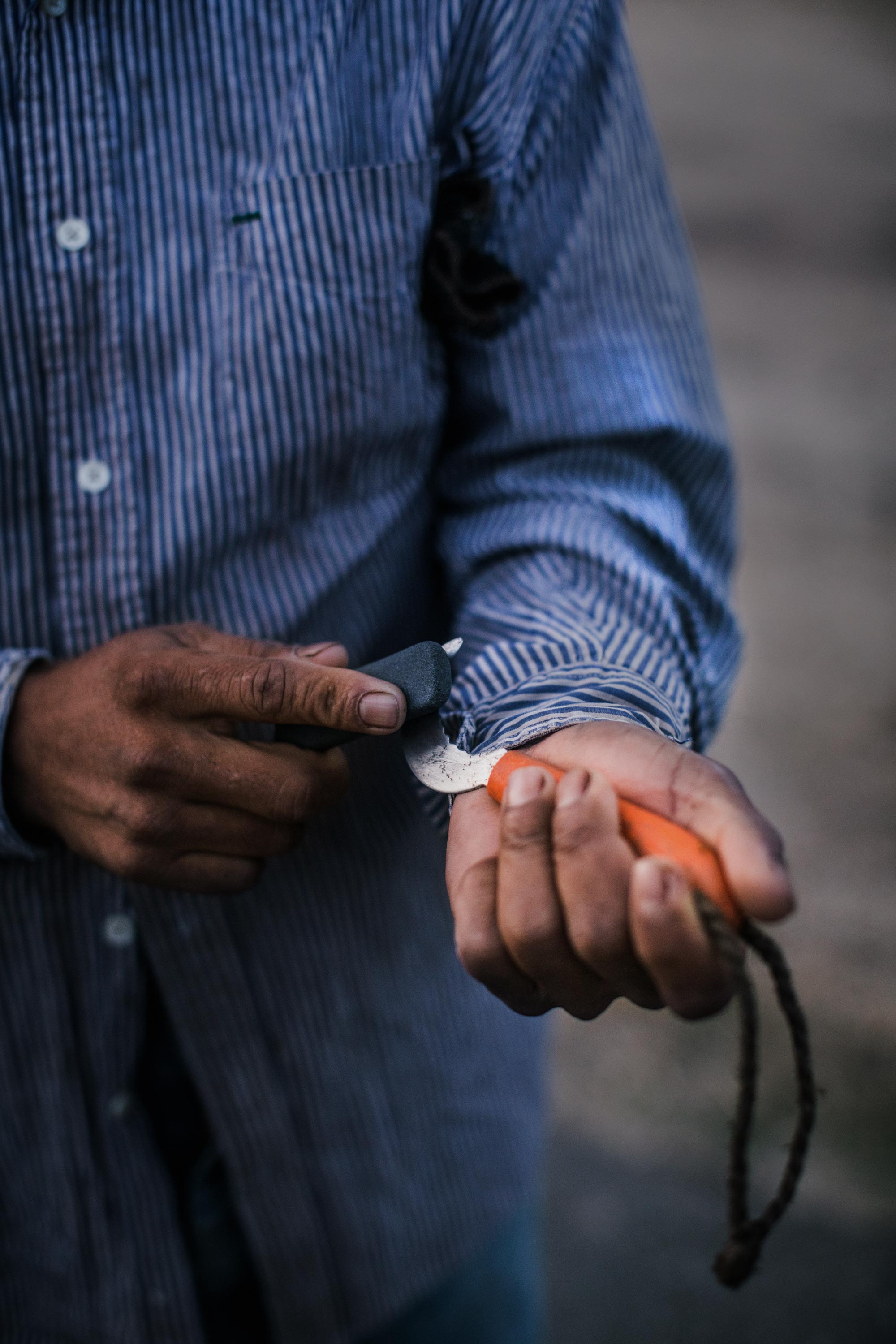 Sharpening a blade